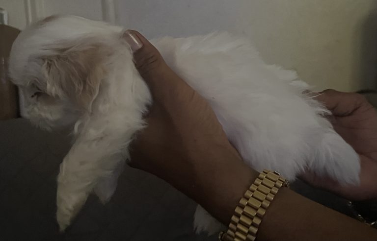 A happy, healthy patient after receiving care at our clinic